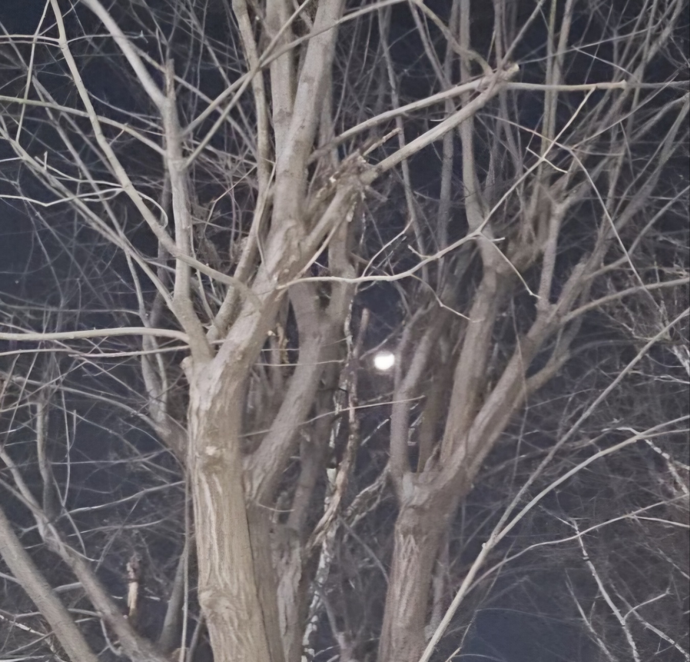 겨울이 지나면 봄은 오겠지