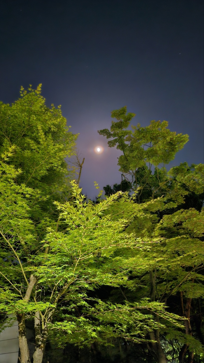 희망의 메세지의 밝은 달빛