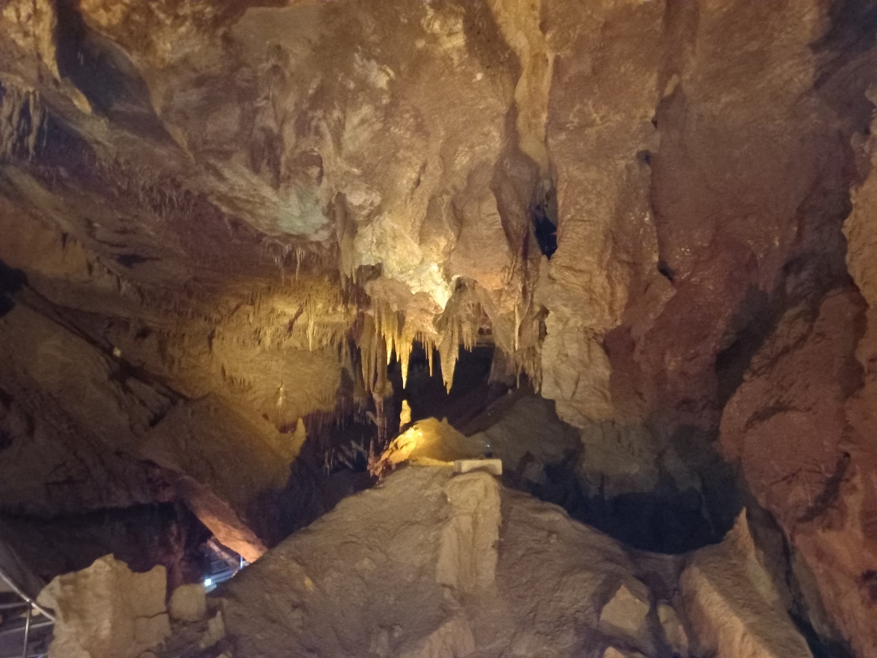 동해시내 천곡동굴 방문 기념사진