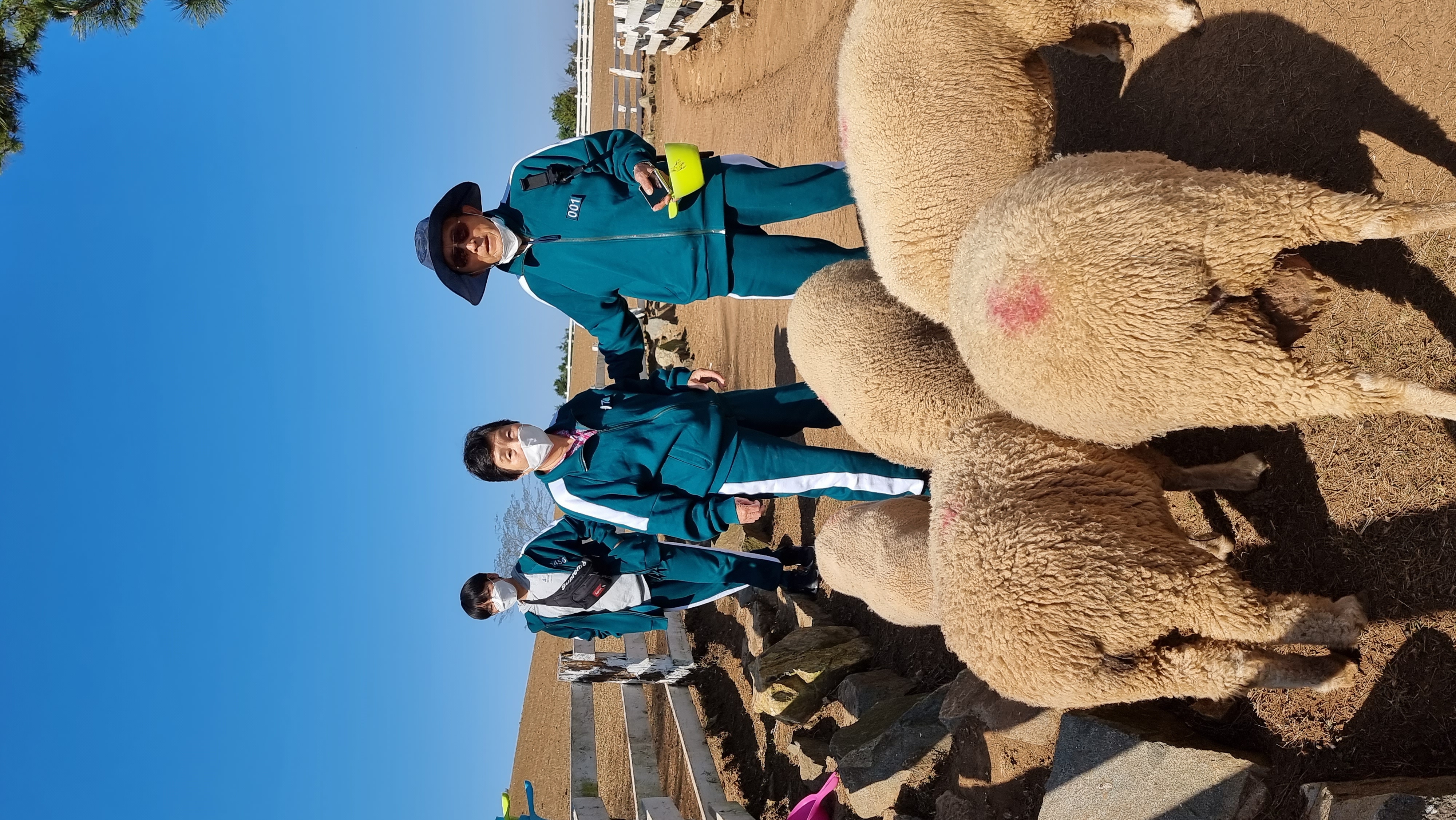 나의 팔순 여행