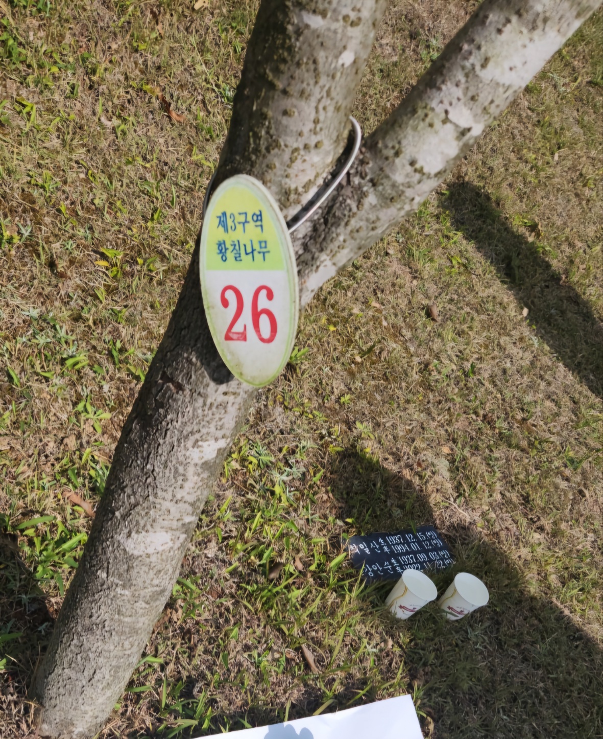 그리운 부모님(최일산,강안순)