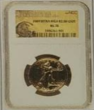 2009 ULTRA HIGH RELIEF GS20