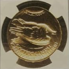 2009 ULTRA HIGH RELIEF GS20