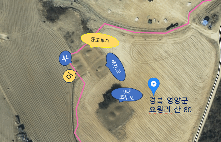 나의 어머니(이주표)