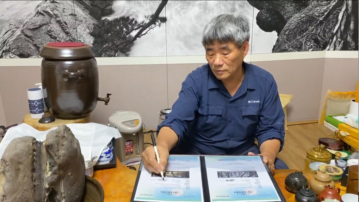 소나무 四季 연작 시리즈_정령들의 숲, 夏